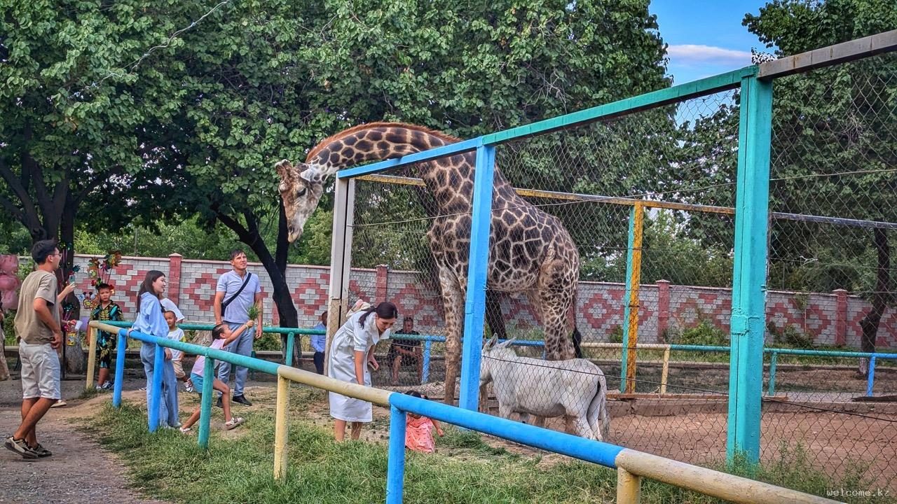 Shymkent «Zoological» Park №2